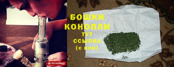MESCALINE Осинники